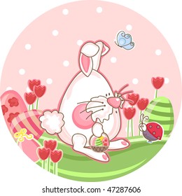 bunny in a tulip field