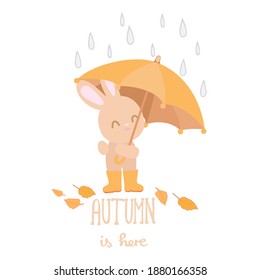 bunny with umbrella and words autumn is here on the white background