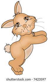 Bunny Vector.