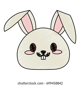 bunny vector illustration