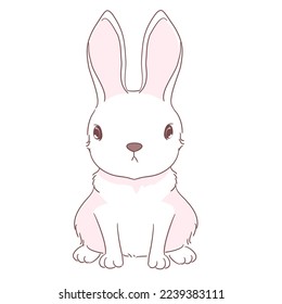 Bunny vector on a character design for decoration , illustration