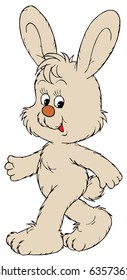 Bunny walking