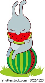 Bunny with watermelon