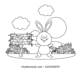 bunny with wooden sign