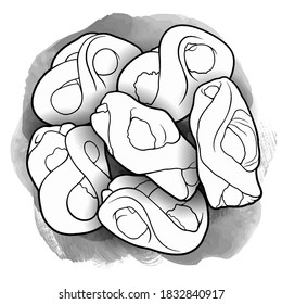 Buns and pastries hand drawn vector doodle line art illustration. Bakery objects, elements cartoon background.