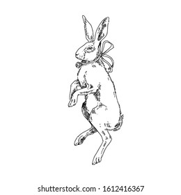 Buny with a bell onhis neck. Sketch. Engraving style. Vector illustration.