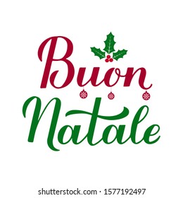 Buon Natale calligraphy hand lettering with holly berry mistletoe isolated on white. Merry Christmas typography poster in Italian. Vector template for greeting card, banner, flyer, sticker, etc.