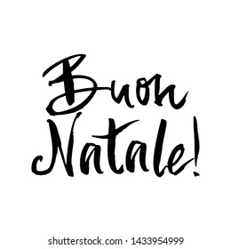 Buon Natale! drawn ink lettering. Traditional Christmas greeting in Italian. Phrase design element for poster, banner and greeting card. Vector illustration