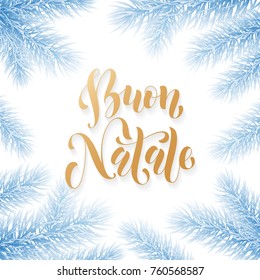 Buon Natale Italian Merry Christmas holiday golden hand drawn calligraphy text for greeting card of Christmas fir garland frame decoration. Vector golden font text on white snow blue frost background