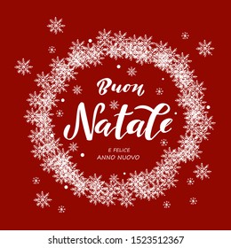 Buon Natale lettering  - translated from italian as Merry Christmas.Vector Illustration.Isolated calligraphic text  for Holiday Greeting Gift Poster card. Typography design for banner. 
