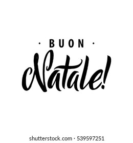 Buon Natale. Merry Christmas Calligraphy Template in Italian. Greeting Card Black Typography on White Background. Vector Illustration Hand Drawn Lettering.