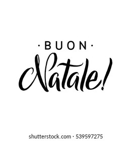 Buon Natale. Merry Christmas Calligraphy Template in Italian. Greeting Card Black Typography on White Background. Vector Illustration Hand Drawn Lettering.