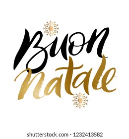 buon natale. Merry Christmas Italian lenguage. Hand drawing. Isolated vector