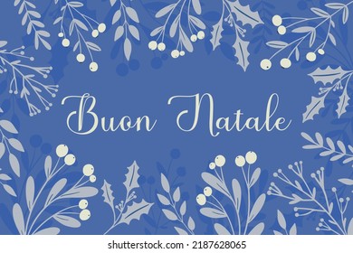 Buon Natale - Merry Christmas in Italian, greeting card, template, banner. Winter navy blue frame with frozen holly berry, mistletoe plant, Christmas greenery silhouette. Festive holiday vector design