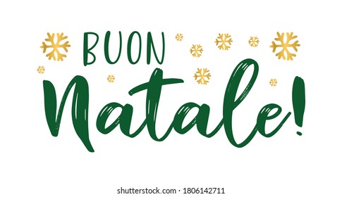 Buon Natale quote in Italian as logo or header. Translated Merry Christmas.    Celebration Lettering for poster, card