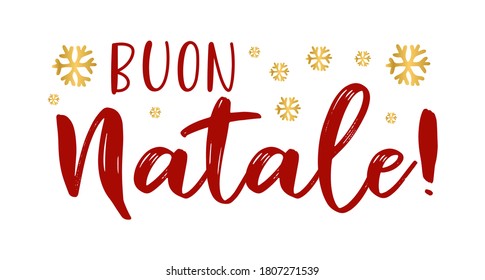 Buon Natale quote in Italian as logo or header. Translated Merry Christmas.    Celebration Lettering for poster, card