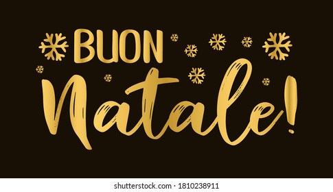 Translate Buon Natale.Italian Translation Images Stock Photos Vectors Shutterstock