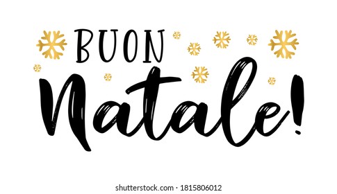 Buon Natale quote in Italian as logo or header. Translated Merry Christmas.    Celebration Lettering for poster, card