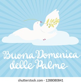 Buona Domenica delle Palme - Happy Palm Sunday - celebration card with handwritten lettering and white dove flying with olive branch. Hand drawn vector in mimal style.