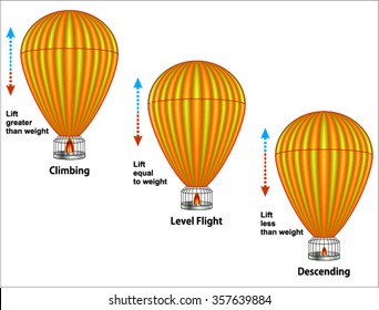 Buoyancy of Air  (Air Pressure + Gravity = Buoyancy)