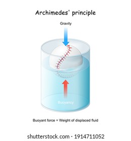 Buoyancy And Archimedes' Principle. Ball Floating In A Glass. Experiment In Physics Lesson. Vector Diagram