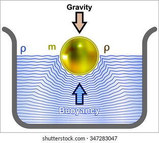 Buoyancy (buoyant Force)