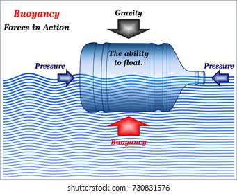 Buoyancy: Forces In Action