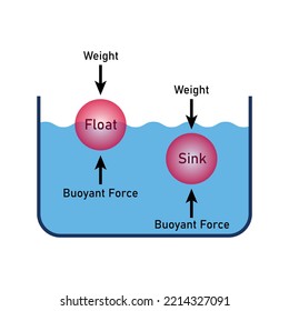 Buoyant force experiment diagram. Law of floatation. Scientific vector illustration isolated on white background.