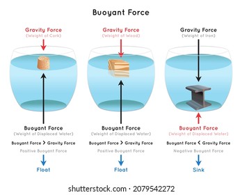 Buoyant Force Infographic diagram with examples of cork wood iron showing gravity force downward depends on object weight against buoyant force upward water displacement for physics science education