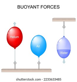 Buoyant Force. scientific experiment with balloons. The forces at work in buoyancy. One Red balloon with gas Helium, and two blue balloon with air and water. Vector poster for education use