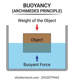 Buoyant Force and Weight of the Object