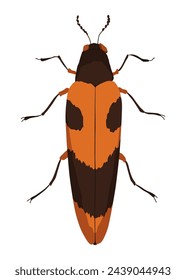 Buprestidae insect icon flat isolated stock vector illustration