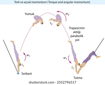 burak bl, physical, Torque and angular momentum