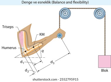 burakbl, equilíbrio e flexibilidade, equilíbrio estático