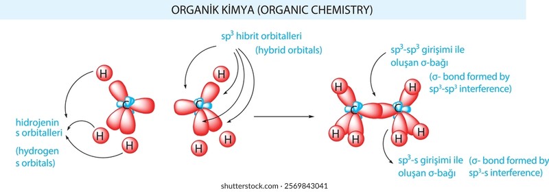 burakbl, chemistry, Organic chemistry, model