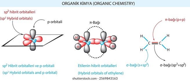 burakbl, chemistry, Organic chemistry, model