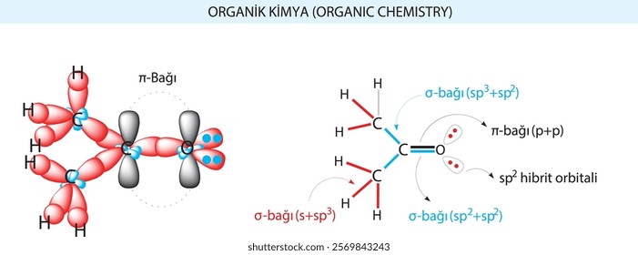 burakbl, chemistry, Organic chemistry, model