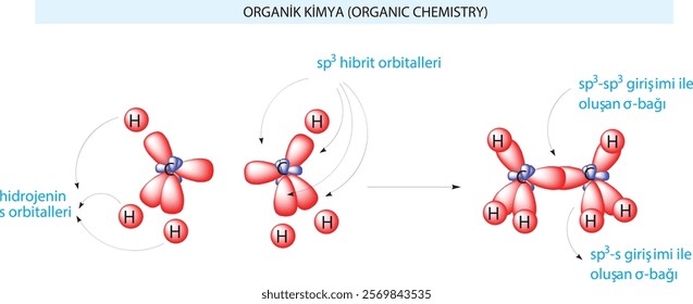 burakbl, chemistry, Organic chemistry, model