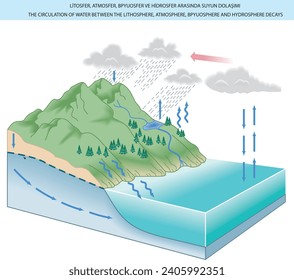 burakbl geography earth the circulati,on of water between the lithosphere, armosphere, bpyuosphere and hydrosphere decays 
