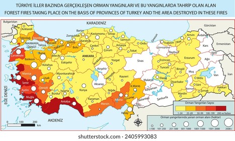 Waldbrände in der Türkei