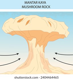 burakbl geography mushroom rock education