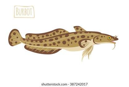 Burbot, vector cartoon illustration