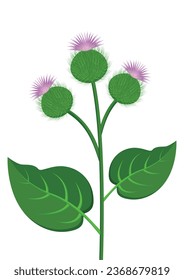 Burdock branch plant vector flat design isolated on white background