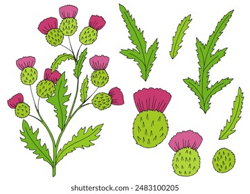 Burdock graphic color isolated sketch set illustration vector