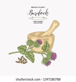 Burdock plant hand drawn. Medical and cosmetic herb. Vector illustration.