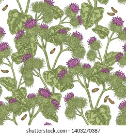 Burdock plant hand drawn. Seamless pattern of burdock flowers, leaves and seeds. Vector illustration.