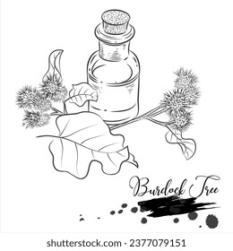 Burdock Plant, medizinische Pflanze, Vektorgrafik