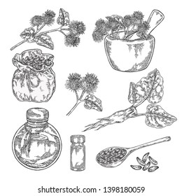 Burdock plant set. Hand drawn burdock root, flowers, seeds and oil. Medical and cosmetic herbs. Vector illustration engraved.