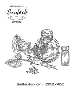 Burdock root and flowers hand drawn. Medical plants set. Vector illustration engraved.