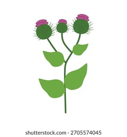 Raíz de bardana y hojas en estilo de ilustración plana. Concepto vegetal saludable. Diseño de Ilustración vectorial. Moderno estilo plano con Formas sencillas y colores terrosos.
